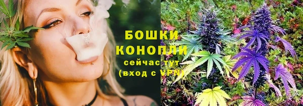 шишки Абинск
