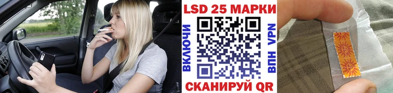 как найти закладки  Полярный  Наркотические марки 1,8мг 